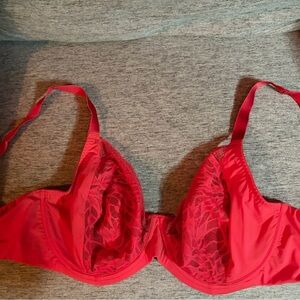 Luxe Scarlet Lace Bra